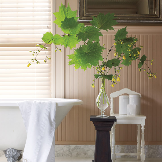 bathtub-019-md109350.jpg