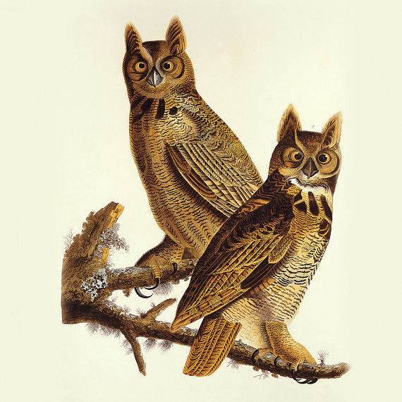 birdbanners-ms111344.jpg