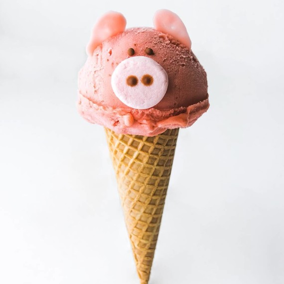 cute-gelato-pig-0517
