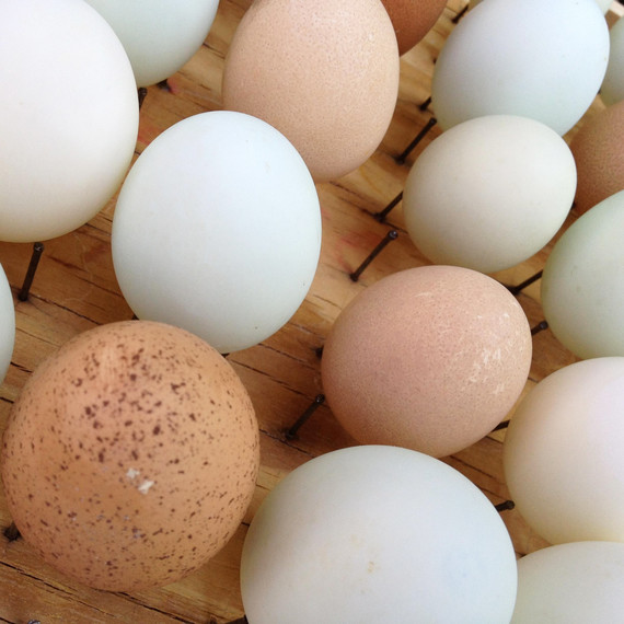egg-drying-rack-0215.jpg