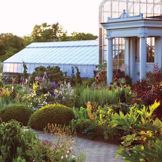 greenhouse2-md110341.jpg