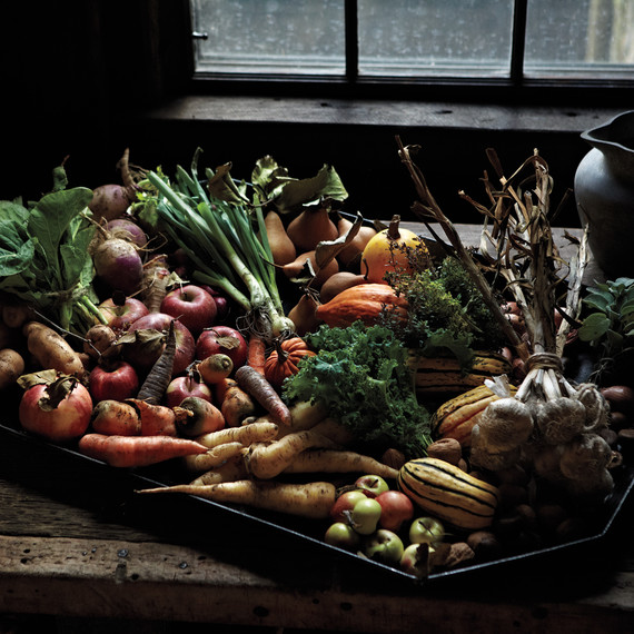 harvest-54-mld108379.jpg