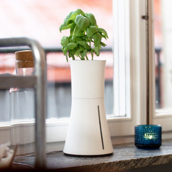 growing herbs hydroponic ppt growing herbs hydroponic pot
