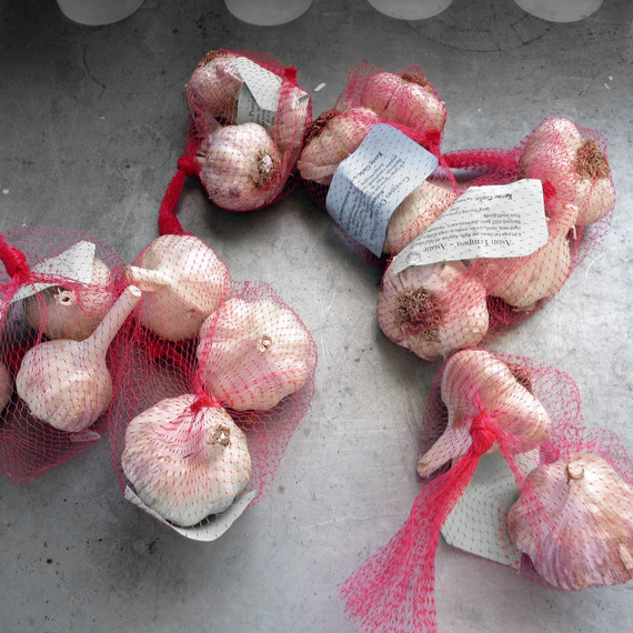 planting-garlic-1215.jpg