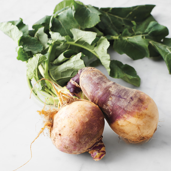 rutabaga037-md110800.jpg