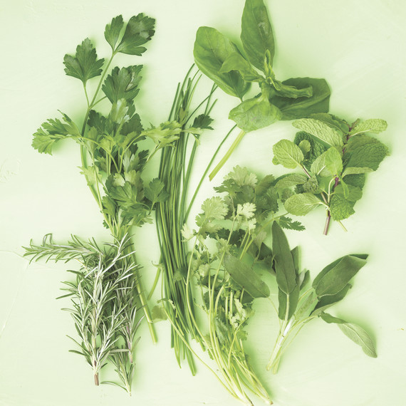 sd103630_sip08_herbs.jpg