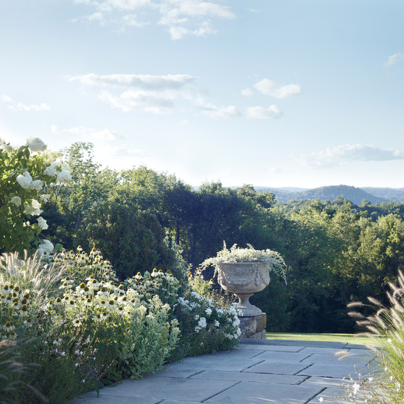 white-garden-d110545.jpg
