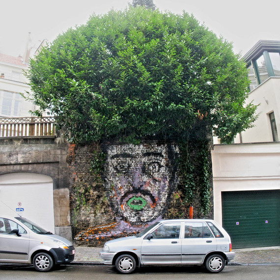 street art plant hair