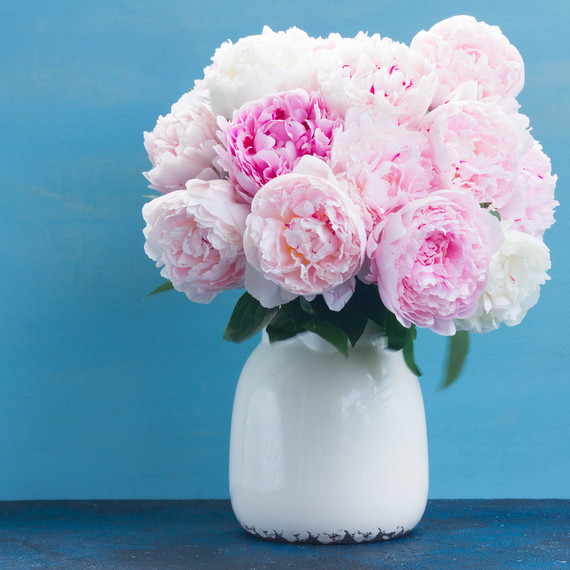 A blush pink bouquet in a vase on a blue background. A blush pink bouquet in a vase on a blue background.