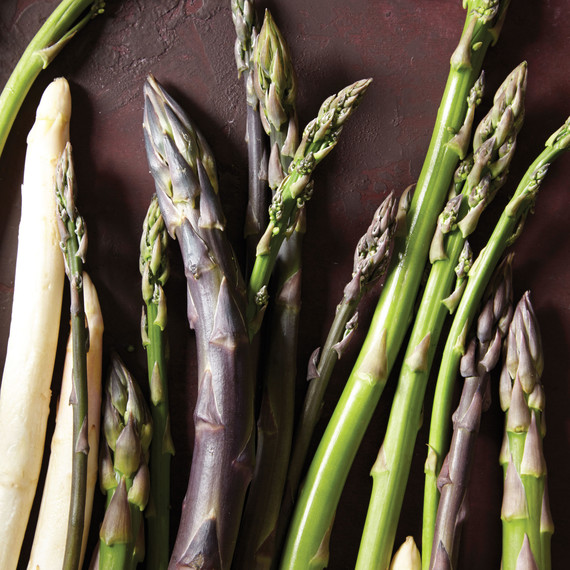 asparagus-037-d112244.jpg