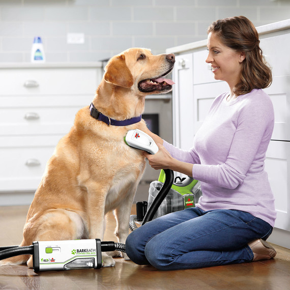 bissell barkbath dog grooming bissell barkbath dog grooming
