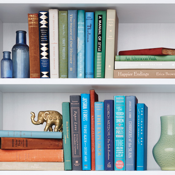 bookshelf-041-d111829.jpg