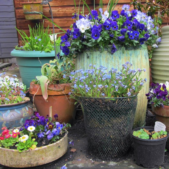 container-garden-0315