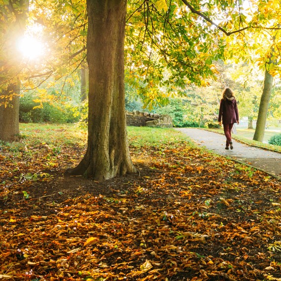 Getty-walking-outdoors-park