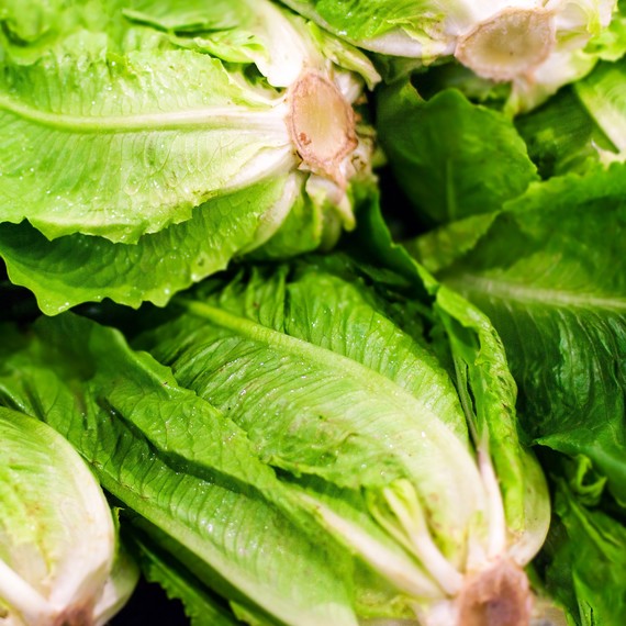 Is Romaine Lettuce Safe to Eat Now? Martha Stewart