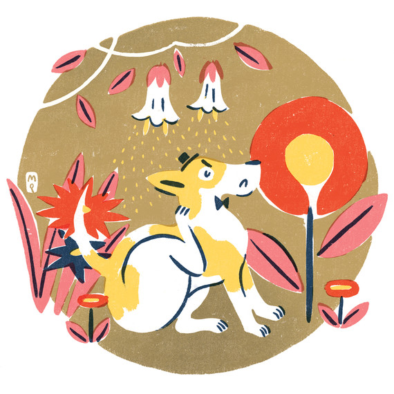 pet-allergies-i111941.jpg