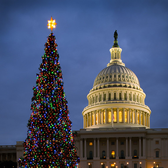 Capitol Christmas Tree Capitol Christmas Tree