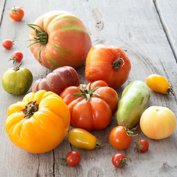 bd103465_0708_tomatoes.jpg