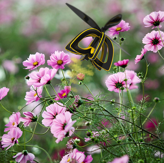 bee drone flowers bee drone flowers