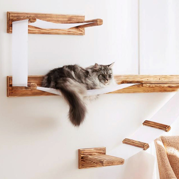 cat wall shelving cat wall shelving