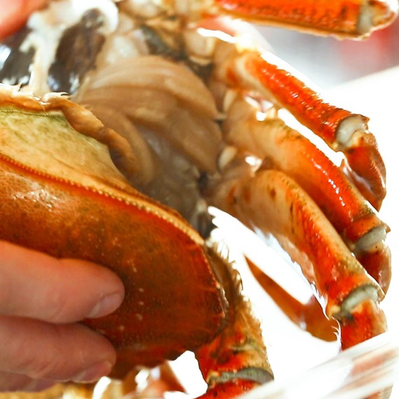 Cleaning Crab
