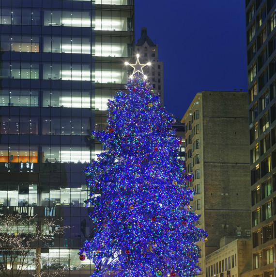 Chicago's Christmas Tree in Daley Plaza Chicago's Christmas Tree in Daley Plaza