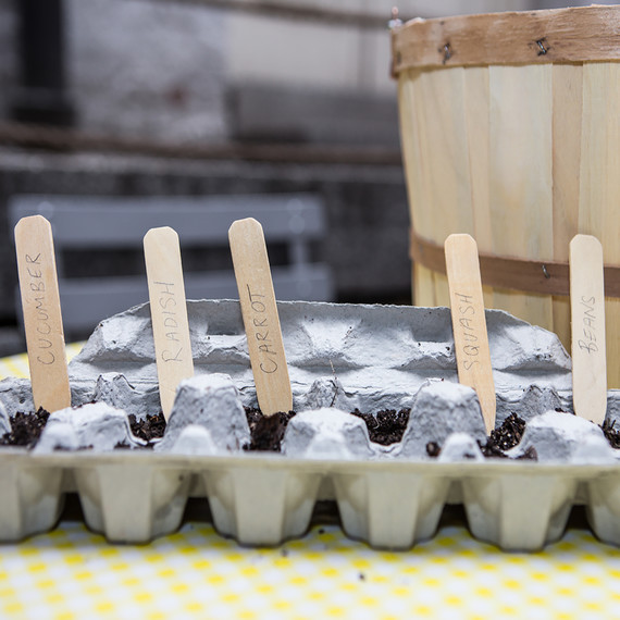 egg-carton-garden-0316.jpg (skyword:243078)