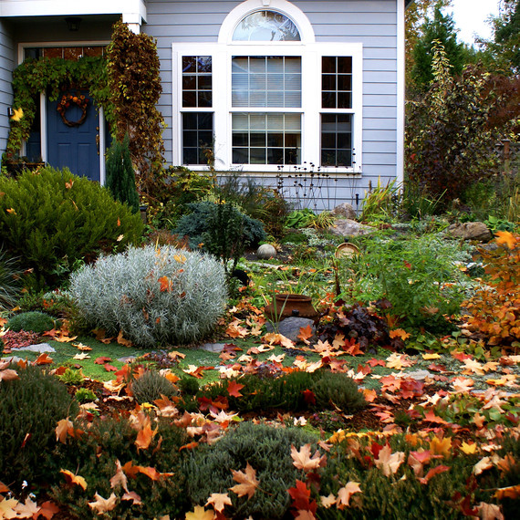 ÙØªÙØ¬Ø© Ø¨Ø­Ø« Ø§ÙØµÙØ± Ø¹Ù âªFall Gardenâ¬â