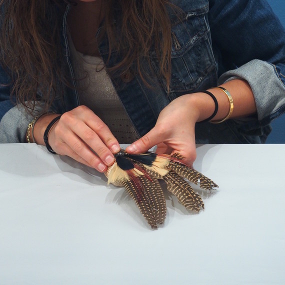 feathernapkin-8-102515.jpg (skyword:195426)