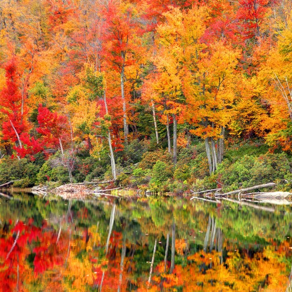 GettyImages_berkshires_lenox