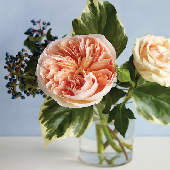 md104713_0210_roses_17.jpg