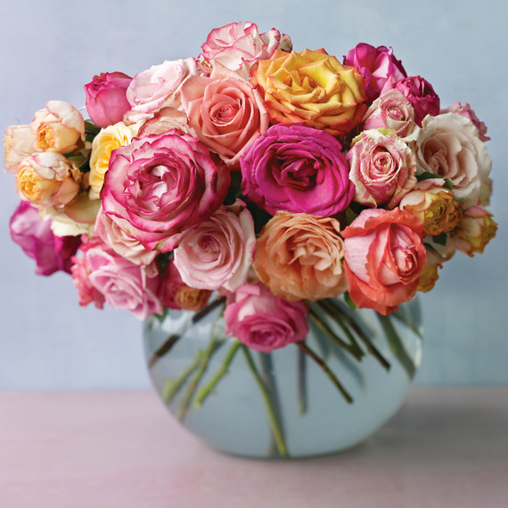 md104713_0210_roses_75.jpg