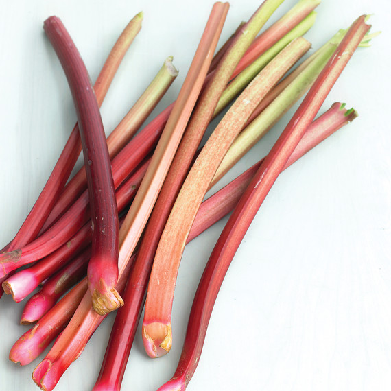 rhubarb bunch rhubarb bunch