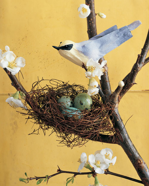 mla103219_0408_warbler.jpg
