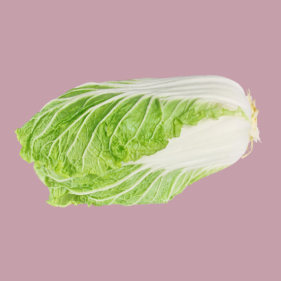 napa cabbage on pink background napa cabbage on pink background