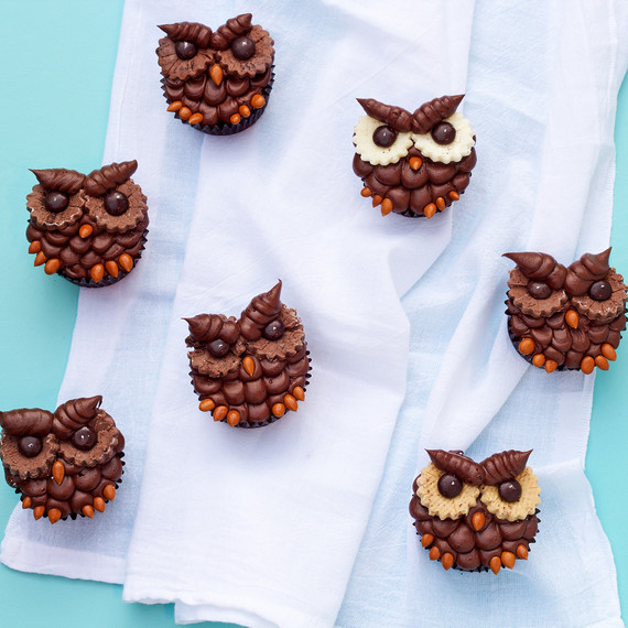 owl-cupcakes--owl-1015.jpg (skyword:195299)