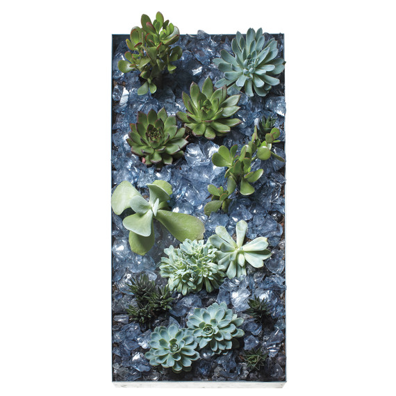 rock-gardens-mld108212.jpg