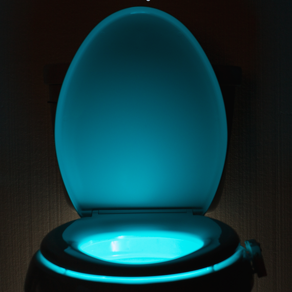 toilet-bowl-light-1116.png (skyword:364264)