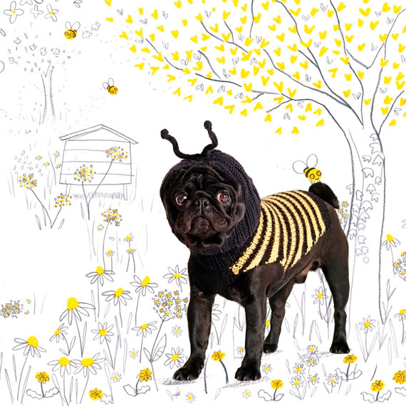 wooly-woofers-bee-0415.jpg