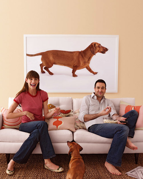 0506_blueprint_petphoto.jpg