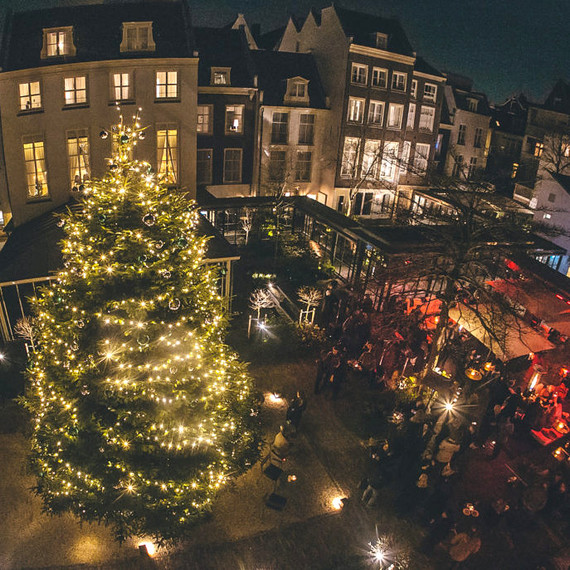 amsterdam city square tree amsterdam city square tree