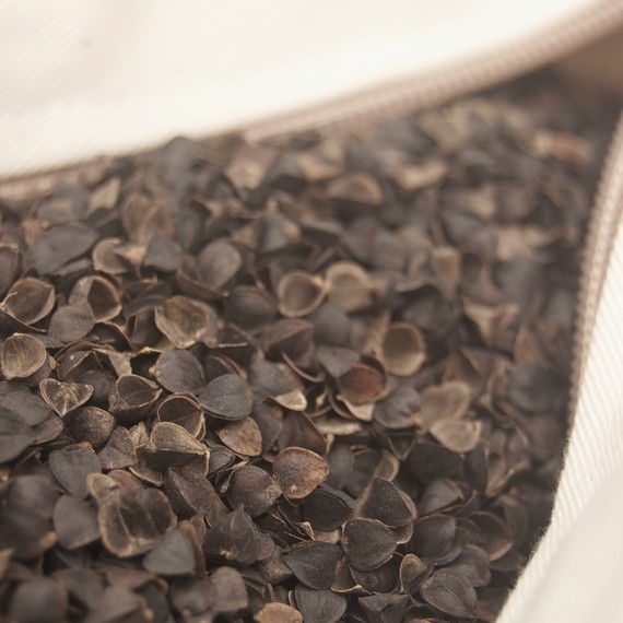 buckwheat-pillow-1116-2.jpg (skyword:370700)