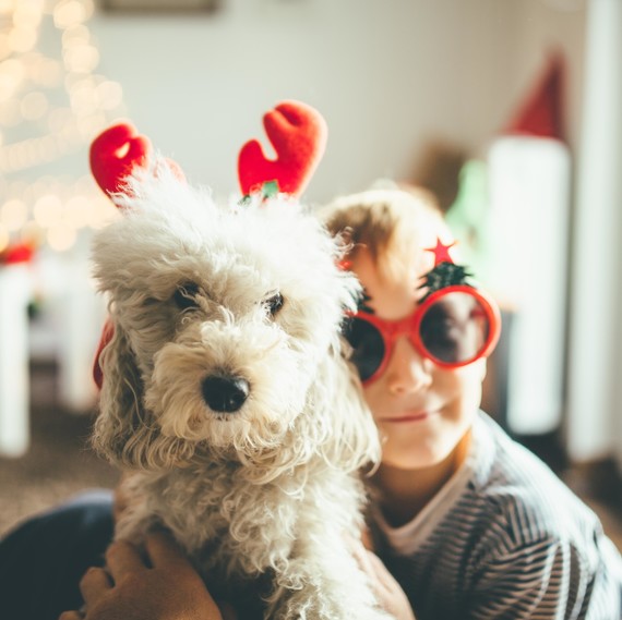 dog christmas dog christmas