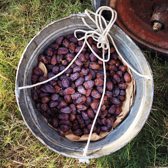 farm-dates-0141-d111571.jpg