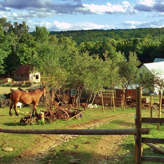 farm wwoof organisation farm wwoof organisation