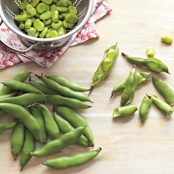 fava-bean-0511mld107111.jpg
