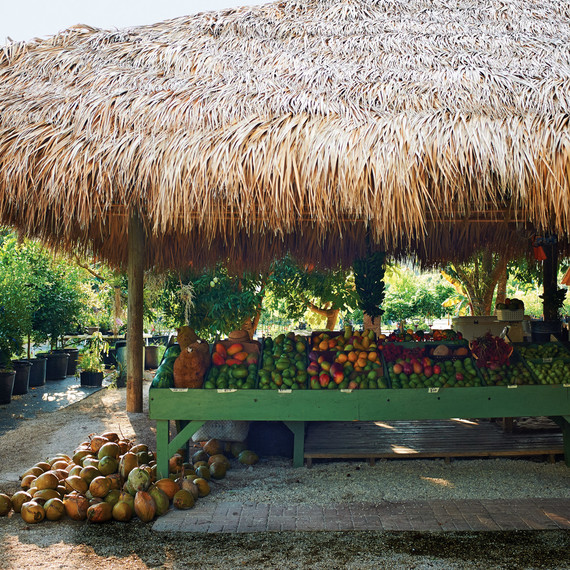 fruit-stand-103-d112247.jpg