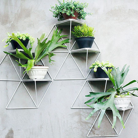 These Geometric Shelves Turn Your Plants Into a Chic Art Installation ...