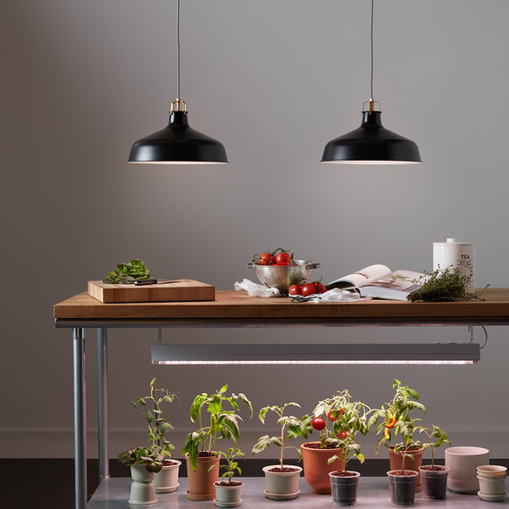 grow-light-pendant-0719.jpg