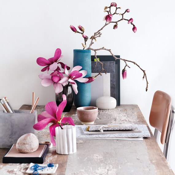 magnolia-d111163-0055rr.jpg